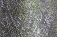 Powfoot fibreglass roof work